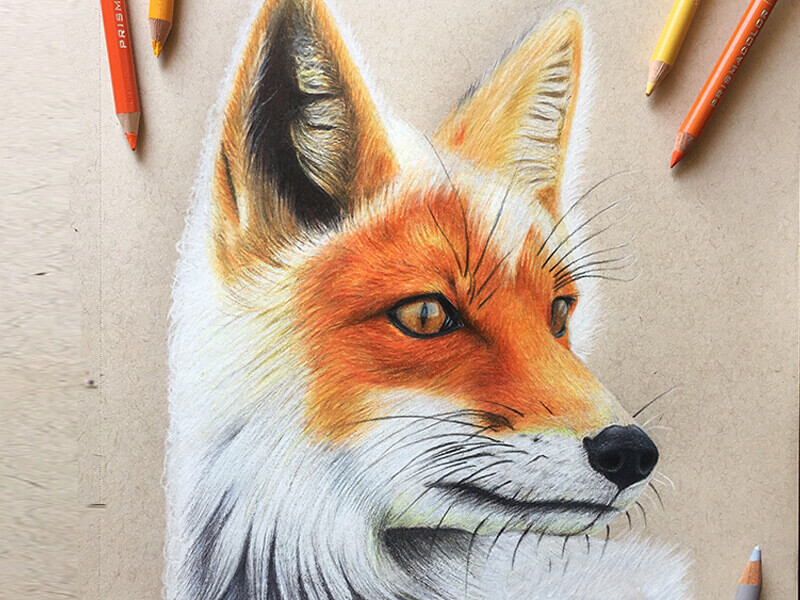 Learn to Draw Realistically: Arctic Wildlife Online Camp - One River School  Larchmont